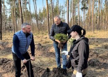 У Попівській громаді висадили 25 тисяч сосен у межах екологічної ініціативи