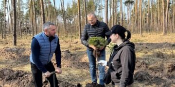 У Попівській громаді висадили 25 тисяч сосен у межах екологічної ініціативи