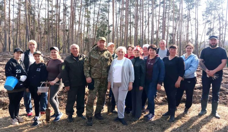 У Попівській громаді висадили 25 тисяч сосен у межах екологічної ініціативи
