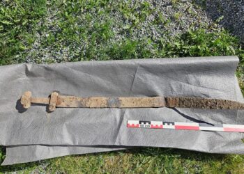 У Норвегії шестирічний хлопчик знайшов у полі меч віком 1300 років