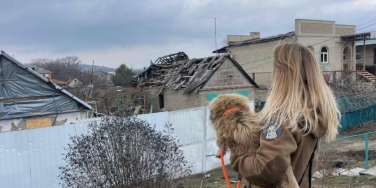 302 тварини вже в безпеці: проєкт «Купуй – рятуй» продовжили до 27 травня