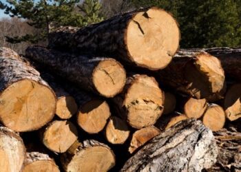 Попит на дрова в Україні досяг рекордного рівня