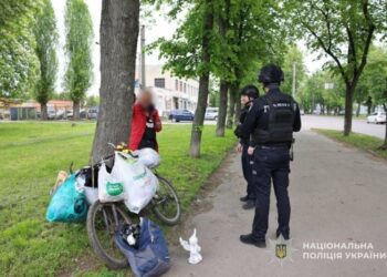 Забрав статуетку з Алеї Слави: у Сумах поліція перевіряє причетність чоловіка до крадіжок з кладовищ