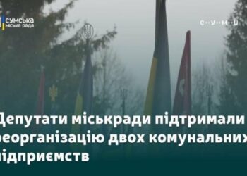 Депутати міськради підтримали реорганізацію двох комунальних підприємств