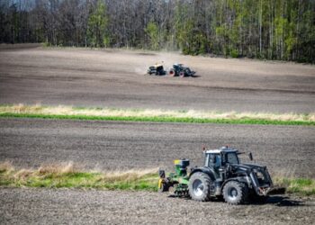 Українські аграрії засіяли 83% площ зернових