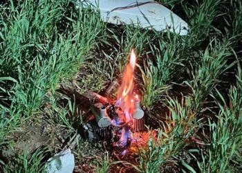 На Сумщині прикордонники знищили 70 ворожих БпЛА за добу