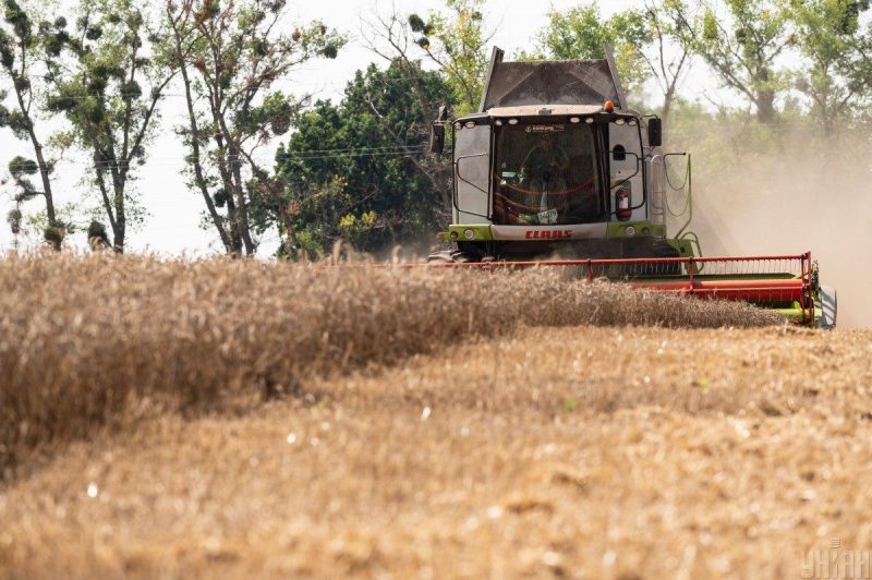 На тлі прогнозів про продовольчу кризу в світі, Україна збере цьогоріч менший врожай