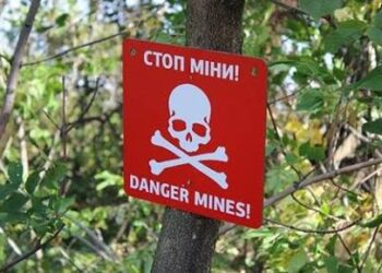 У Новослобідській громаді жінка підірвалася на ворожій міні