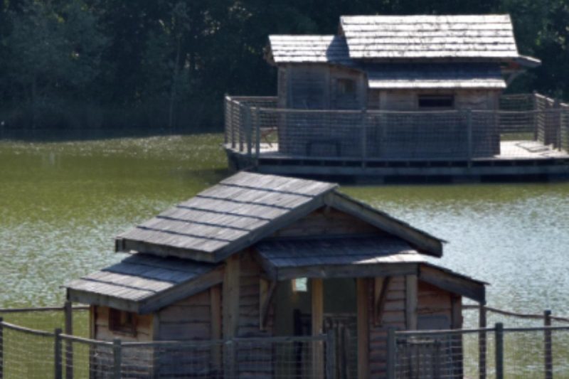 30-річна жінка купила озеро у кредит &ndash; і перетворила його на бізнес (фото)
