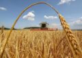 Аграрії Сумщини просять скоротити комендантську годину на період жнив