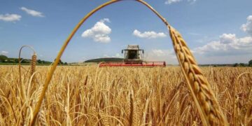 Аграрії Сумщини просять скоротити комендантську годину на період жнив
