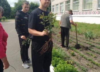 Клумба Ображіївського НВК поповнилася трояндами від випускників та їхніх батьків