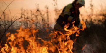 Лісівники Кролевеччини закликають берегти ліси від вогню: спекотна погода підвищує ризик пожеж