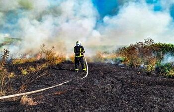 На Конотопщині діє найвищий рівень пожежної небезпеки: лісівники закликають берегти ліси