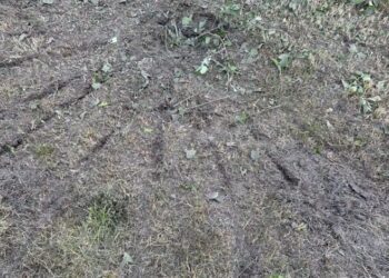 На Конотопщині за добу одна людина загинула, ще одна постраждала внаслідок ворожих атак