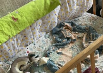 Сьогодні вранці внаслідок атаки реактивного БпЛА зазнав пошкоджень Центр матері та дитини в Сумах 