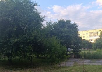 У Шостці суперечка через вишні у дворі багатоповерхівки закінчилася викликом поліції