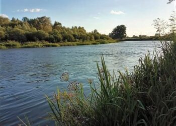 Вода у річці Сейм на Конотопщині відповідає нормам – Держекоінспекція