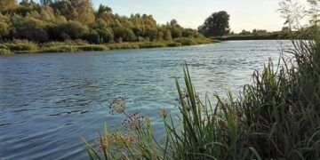 Вода у річці Сейм на Конотопщині відповідає нормам – Держекоінспекція