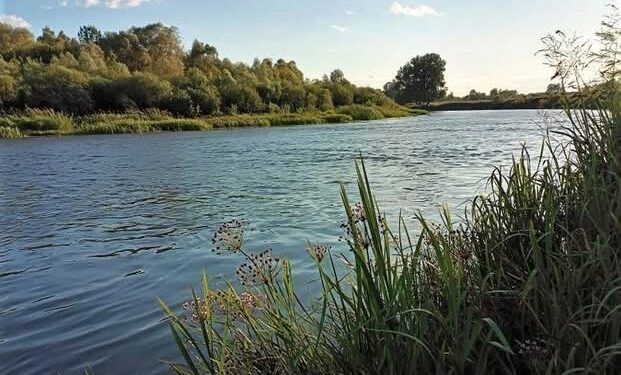 Вода у річці Сейм на Конотопщині відповідає нормам – Держекоінспекція