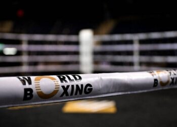 Російські боксери отримали права на виступи від World Boxing