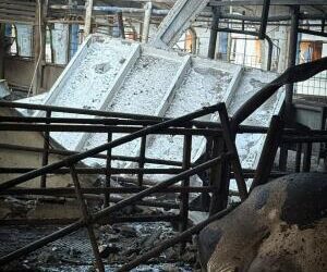 Росіяни атакували ферму одного з виробників молока на Сумщині: загинули корови, є поранені тварини