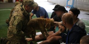 Чотирилапі терапевти: у Сумах поранені бійці пройшли психоемоційне розвантаження