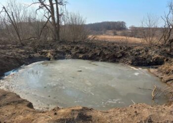 Держекоінспекція оцінила збитки довкіллю Сумщини через військові дії рф у понад 436 млрд грн