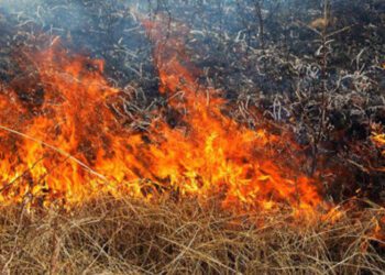 Конотопців попереджають про високий рівень пожежної небезпеки