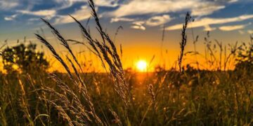 На Сумщині найближчими днями переважатиме суха й тепла погода