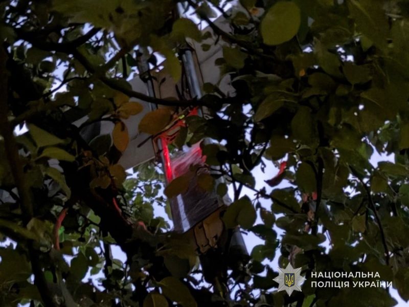 На Сумщині ворожий безпілотник застряг на дереві: вибухотехніки поліції знешкодили небезпечний боєприпас