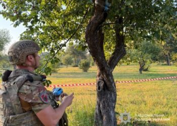 На Сумщині ворожий безпілотник застряг на дереві: вибухотехніки поліції знешкодили небезпечний боєприпас