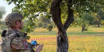 На Сумщині ворожий безпілотник застряг на дереві: вибухотехніки поліції знешкодили небезпечний боєприпас