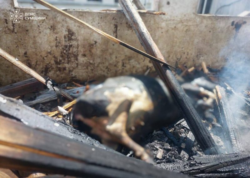 Рятувальники показали, як гасили пожежу після ворожого удару по Конотопщині