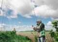 Ще 50 км доріг області закрили антидроновими сітками