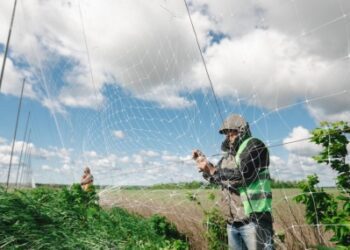 Ще 50 км доріг області закрили антидроновими сітками