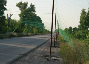 За підтримки Уряду облаштують антидроновий захист ще на кількох десятках кілометрів доріг у Сумах
