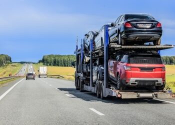 Бензинові авто зберегли лідерство на ринку України