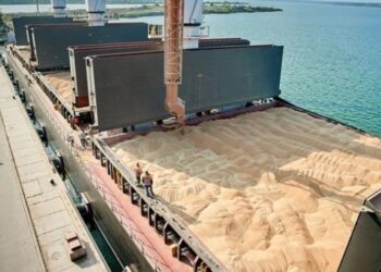 Експорт зернових із України перевершив торішній показник