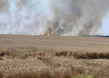 27 гектарів знищених посівів і загибла мешканка: наслідки атак на Новослобідську громаду за тиждень