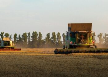 Україна наростила експорт зерна на понад 50%