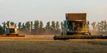 Україна наростила експорт зерна на понад 50%