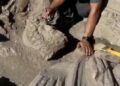 У Туреччині знайшли 1800-річну мармурову статую грецького бога