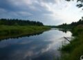 Рідкісні риби оселилися у водоймах Чорнобильської зони