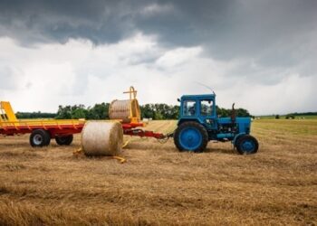 Блокада морських портів: ситуація в агросекторі гірша, ніж у 2022 році