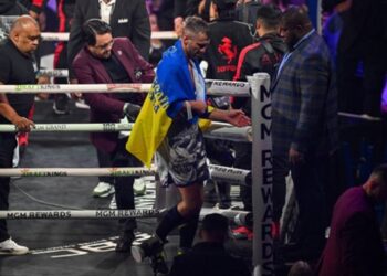 Гвоздик розповів, за яких умов готовий повернутися на ринг