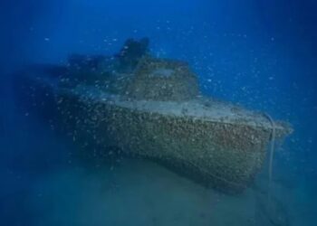 На дні моря виявили унікальний нацистський торпедний катер