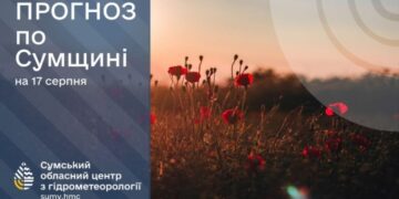 На початку тижня на Сумщині прогнозують спеку