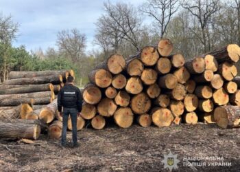 На Сумщині чоловік незаконно вирубував дерева на території природно-заповідного фонду