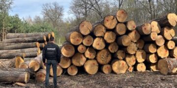 На Сумщині чоловік незаконно вирубував дерева на території природно-заповідного фонду